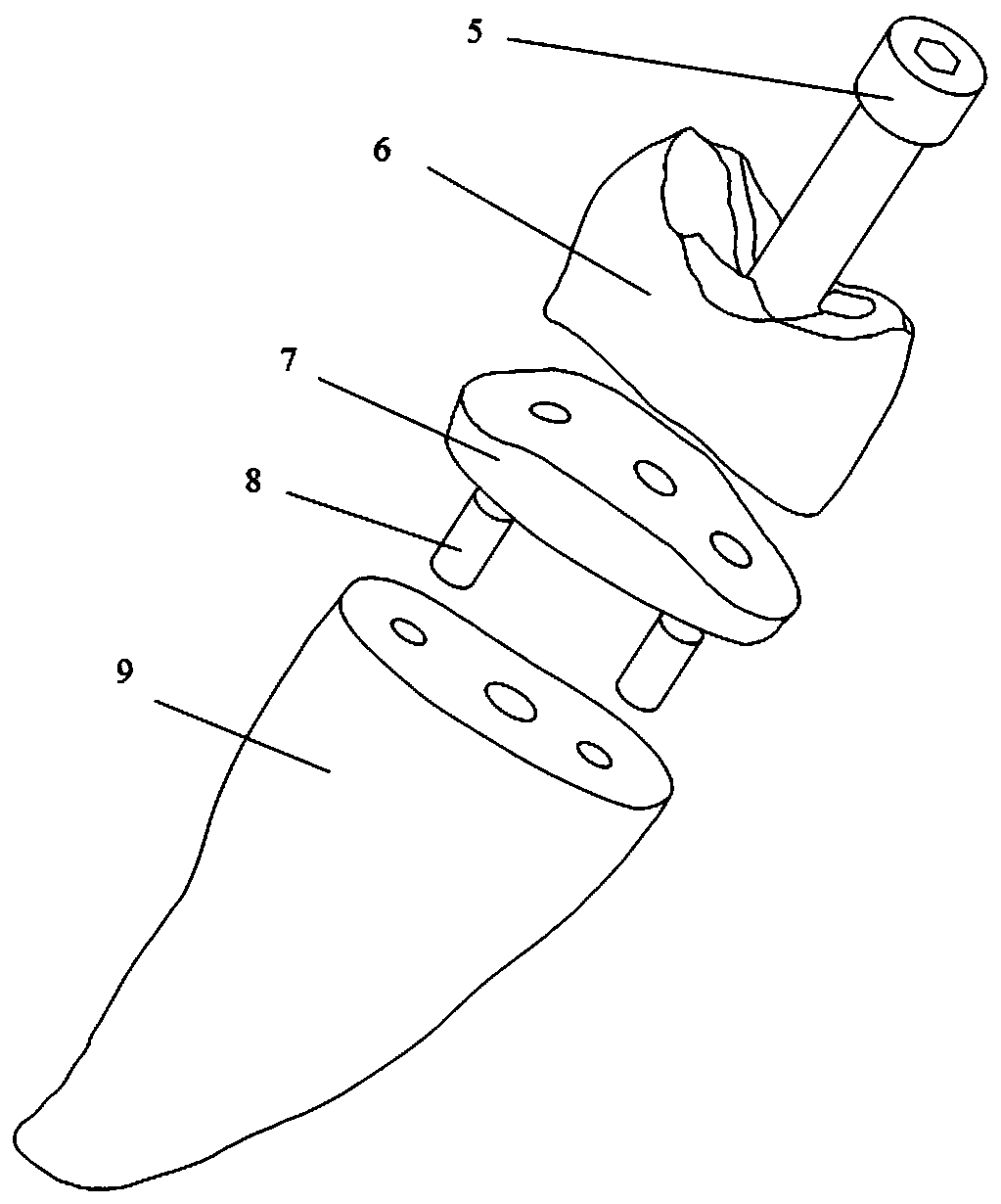 Implant tooth structure based on SLM forming and forming method thereof