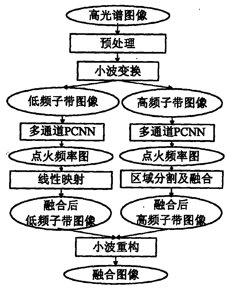 Wavelet transformation and multi-channel PCNN-based hyperspectral image fusion method