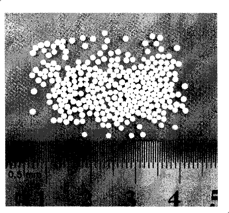 Phosphate biological ceramic microsphere, preparation method and apparatus thereof