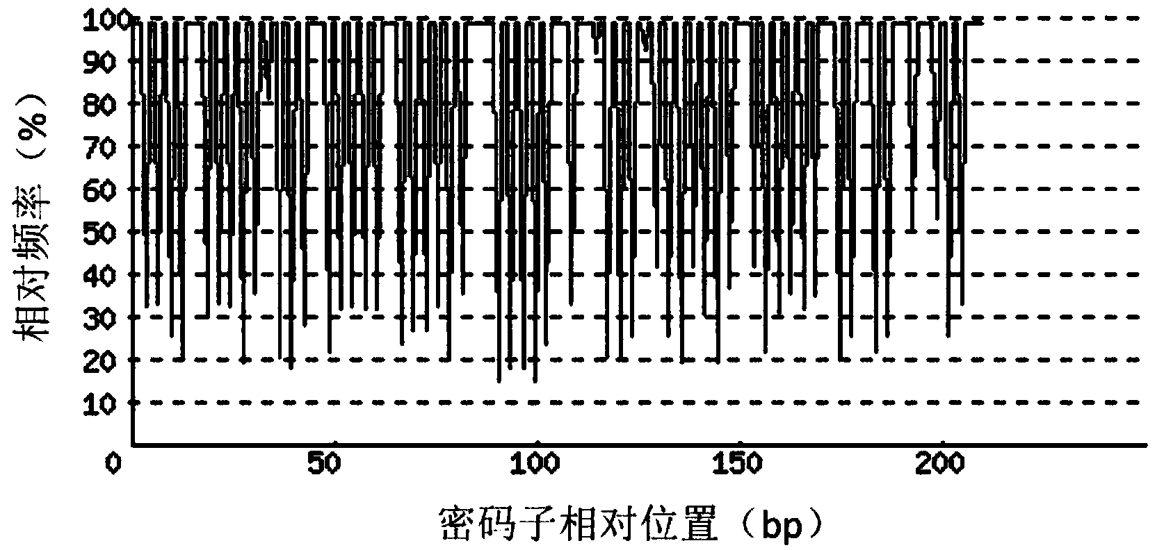 Recombinant lactobacillus of insulin-like growth factor and application thereof