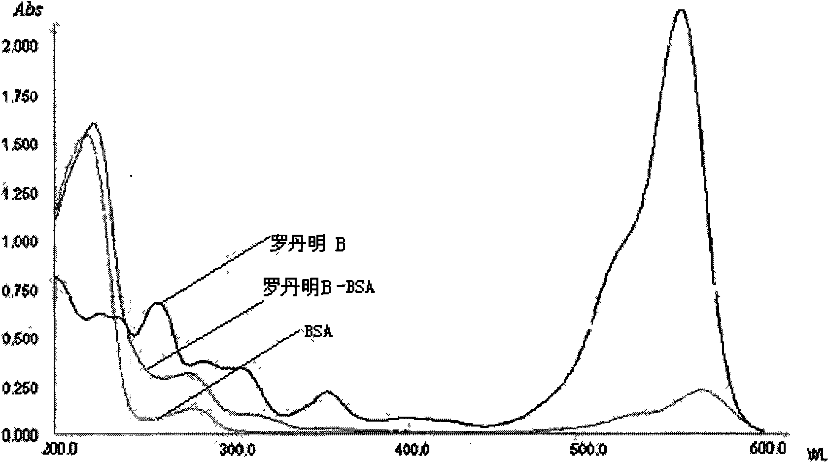 Method for synthesizing rhodamine B complete antigen