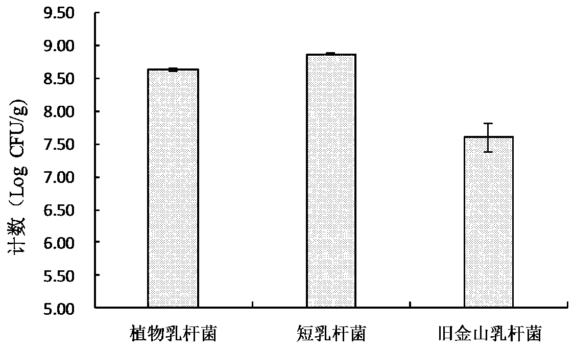 A strain of Lactobacillus brevis that improves the fermented flavor of old noodle steamed bread and its application