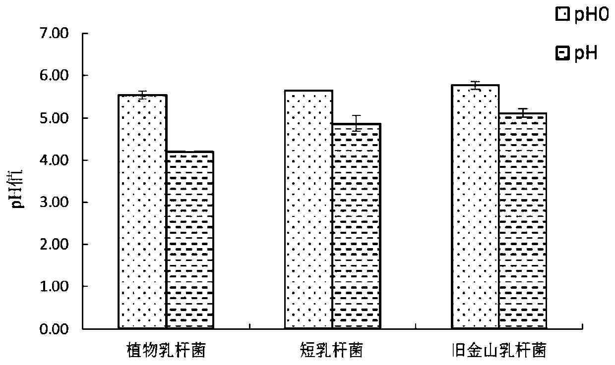 A strain of Lactobacillus brevis that improves the fermented flavor of old noodle steamed bread and its application