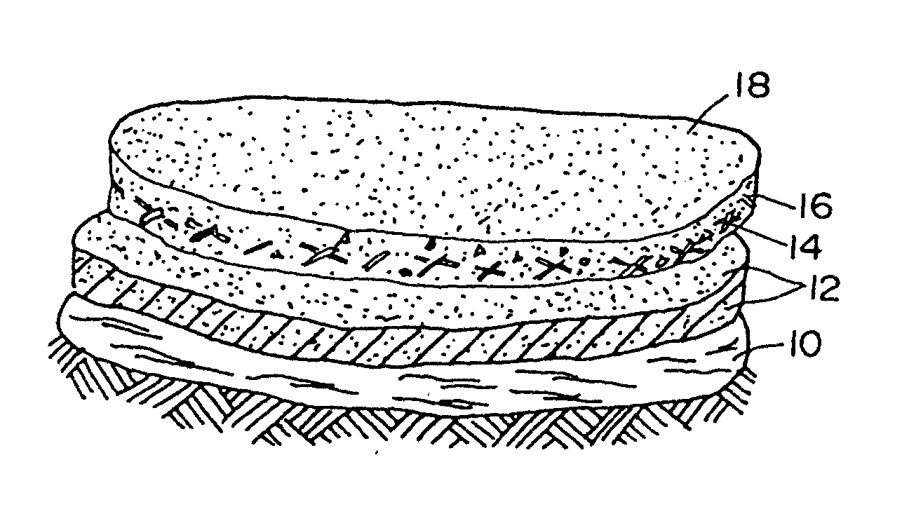 Method of forming surface seeded particulate