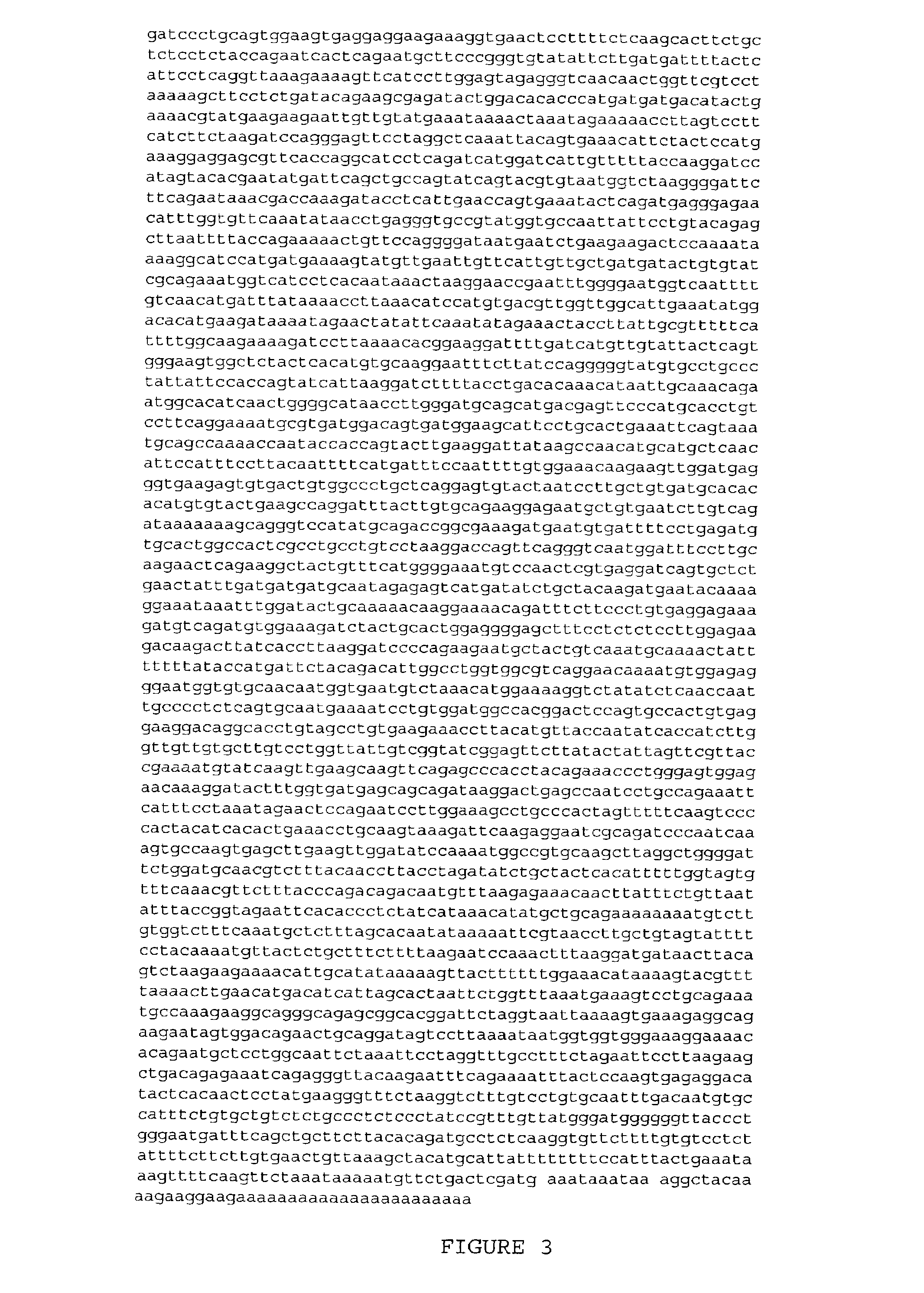 Nucleic acid molecules and polypeptides related to h-ADAM7