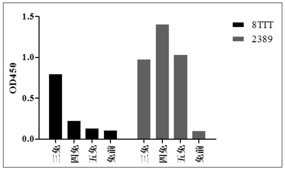 Anti-β-ngf nanobody and its application