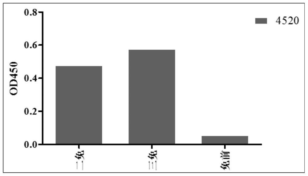 Anti-β-ngf nanobody and its application