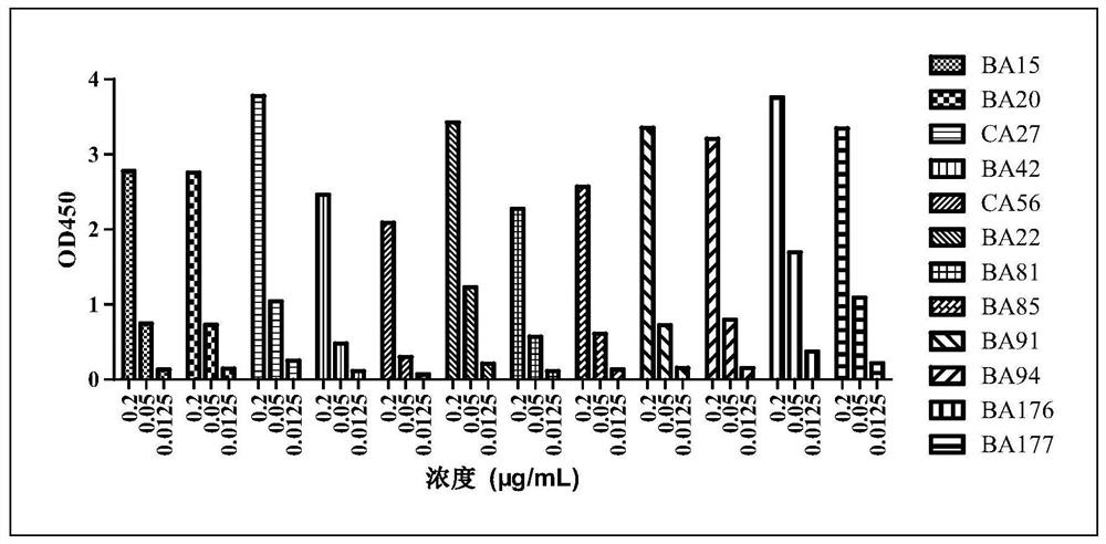 Anti-β-ngf nanobody and its application