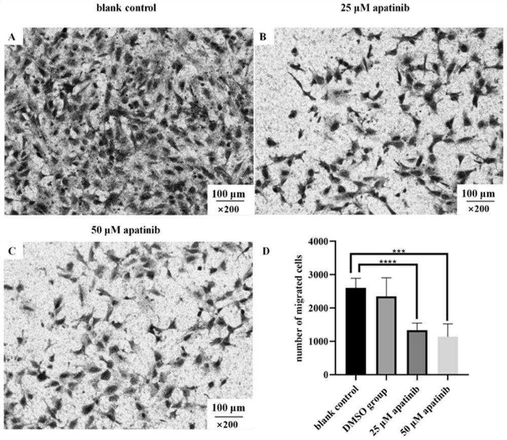 Novel pharmaceutical application of apatinib or pharmaceutically acceptable salt thereof