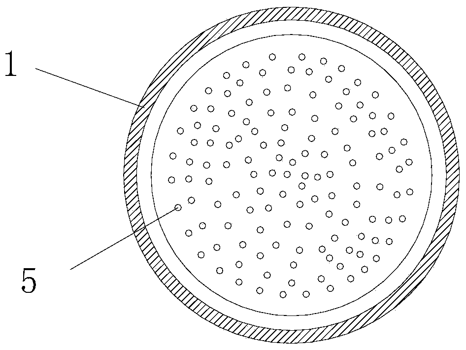 Device and method for strengthening filtering of internal-pressure membrane by using pulsed electric field