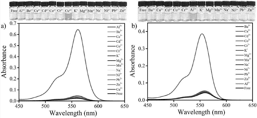 Water-soluble Rhodamine-based ion liquid probe for selectively distinguishing and identifying bimetallic ions and preparation method and application