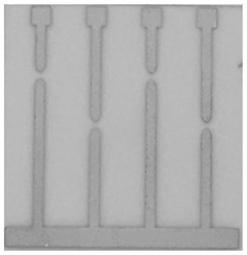 Method for testing silver ion migration of conductor paste for chip resistor