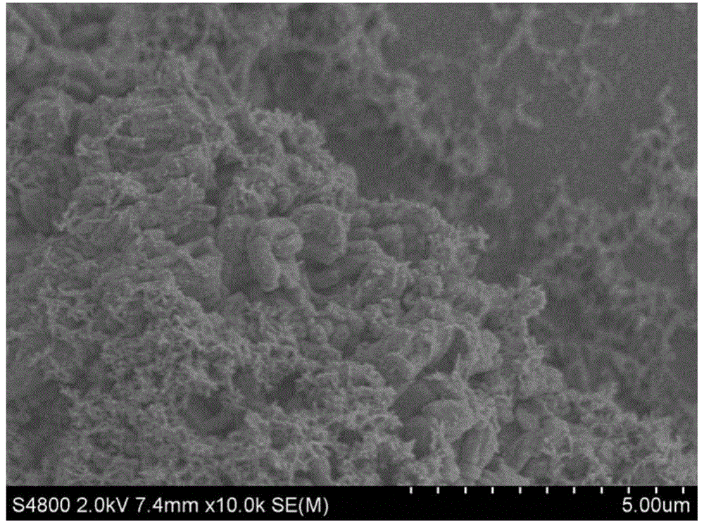 Electrochemical sensor for detecting heavy metals and preparation method and application thereof