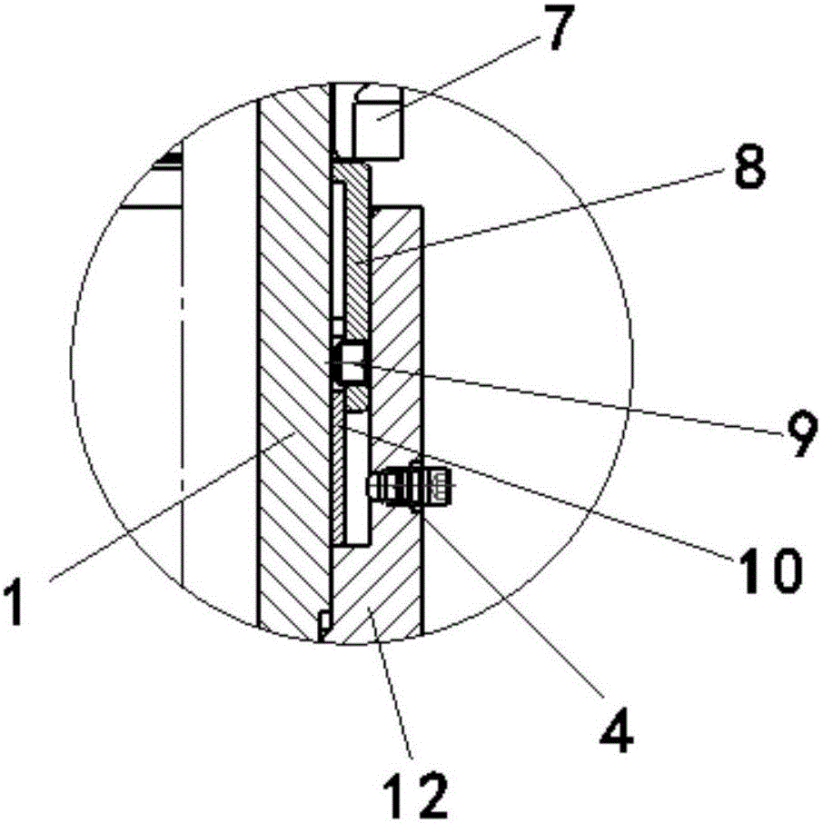 Novel hairbrush pipe scraping device