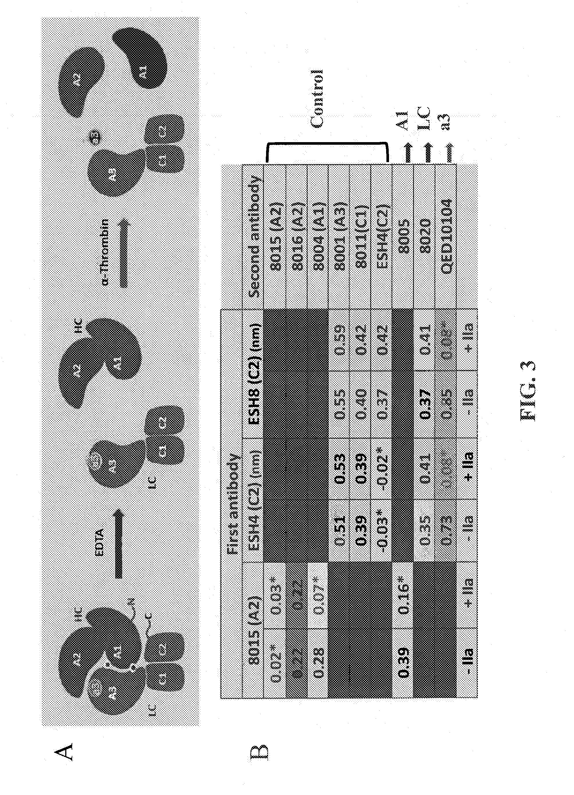 Anti-factor viii antibodies or uses thereof