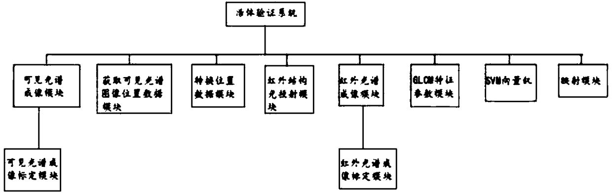 Living body verification method and system