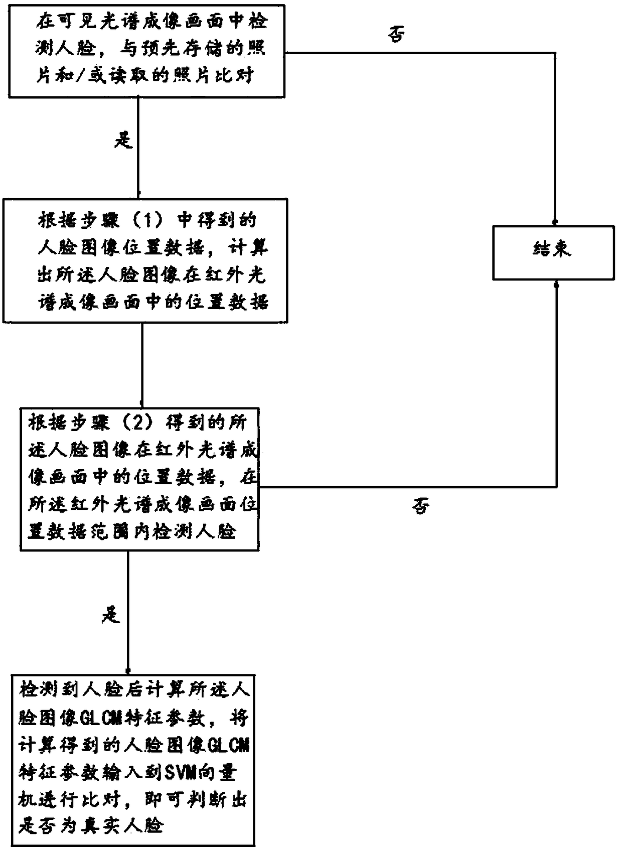 Living body verification method and system