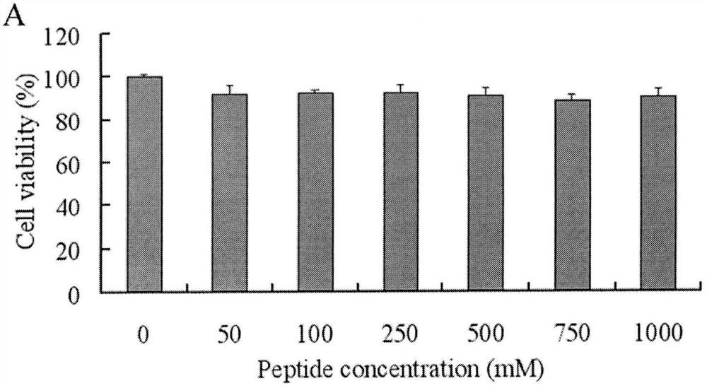 A Novel Penetrating Peptide Mediating Drug Delivery and Its Application