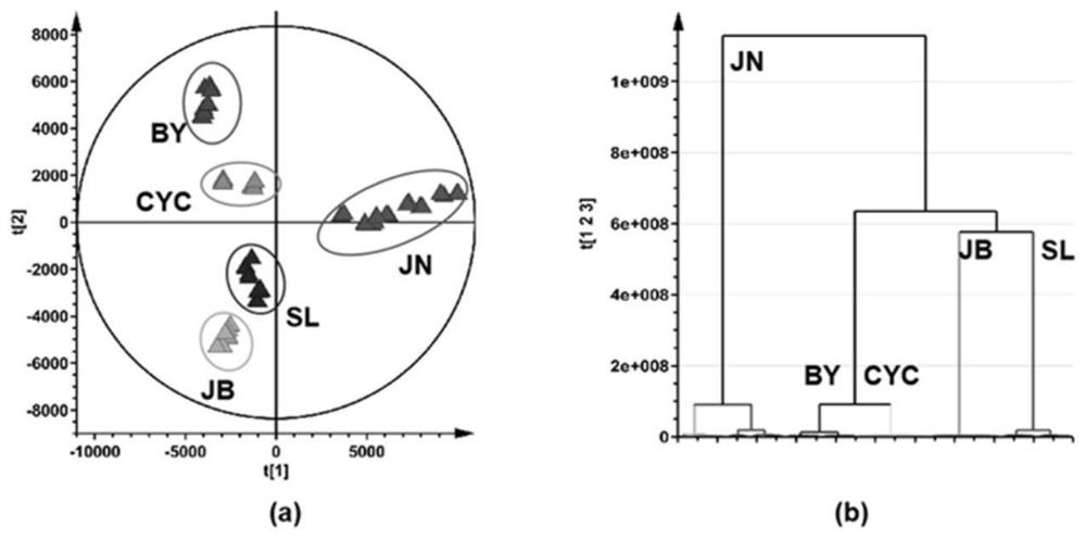 Method for distinguishing authenticity of selaginella tamariscina varieties in non-targeted metabonomics and application