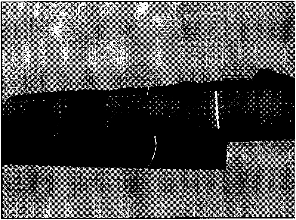 Method for calibrating structure light vision transducer based on one-dimensional target drone