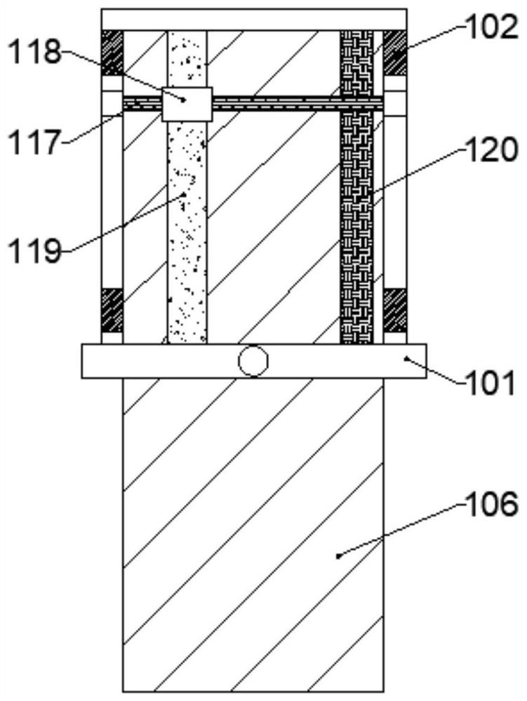 Experimental device for dissecting small animals