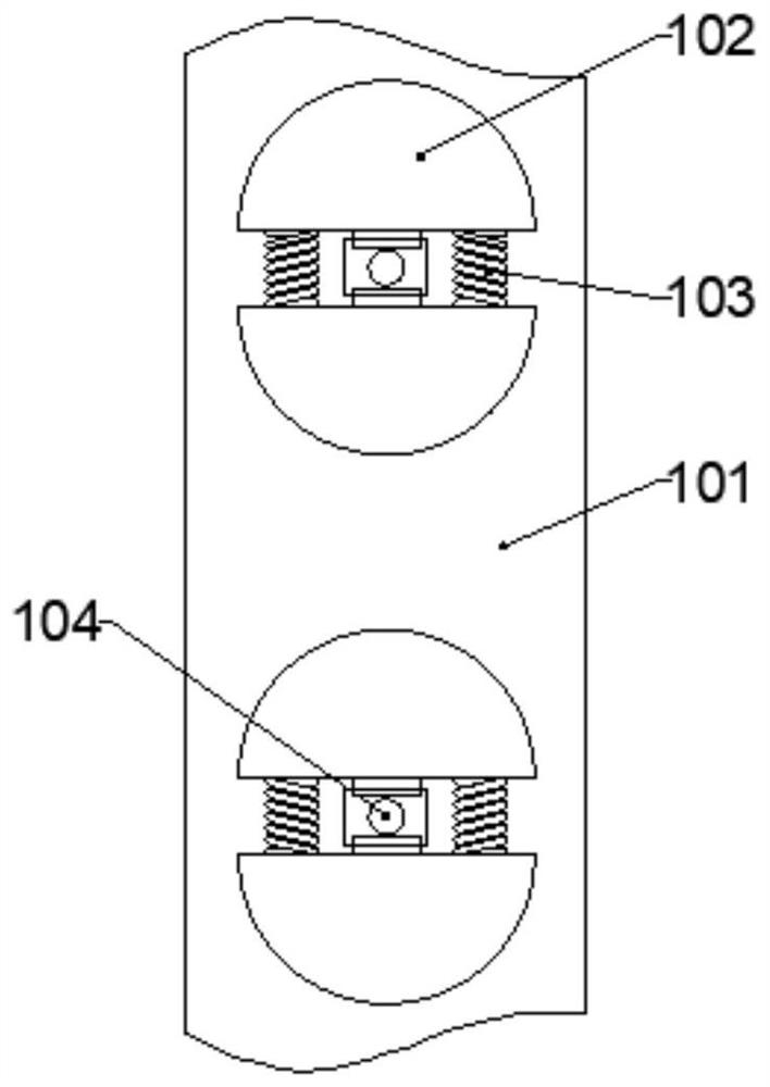 Experimental device for dissecting small animals