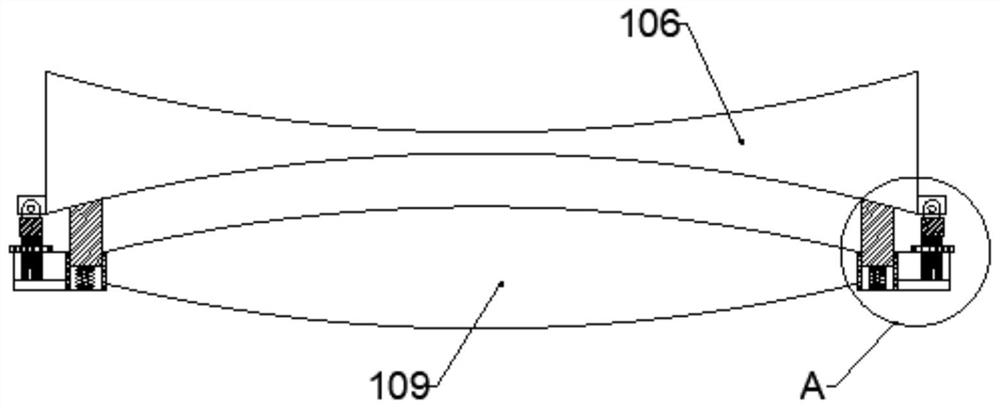 Experimental device for dissecting small animals