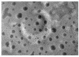 PH-sensitive polymandelic acid nano-drug carrier, and preparation method and application thereof