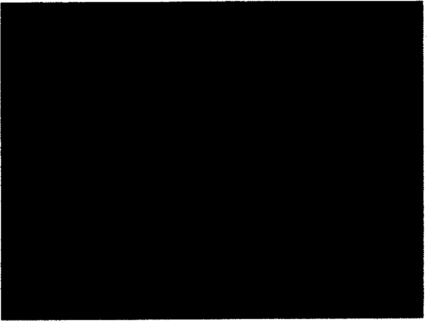 Method and system for implementing high dynamic light range