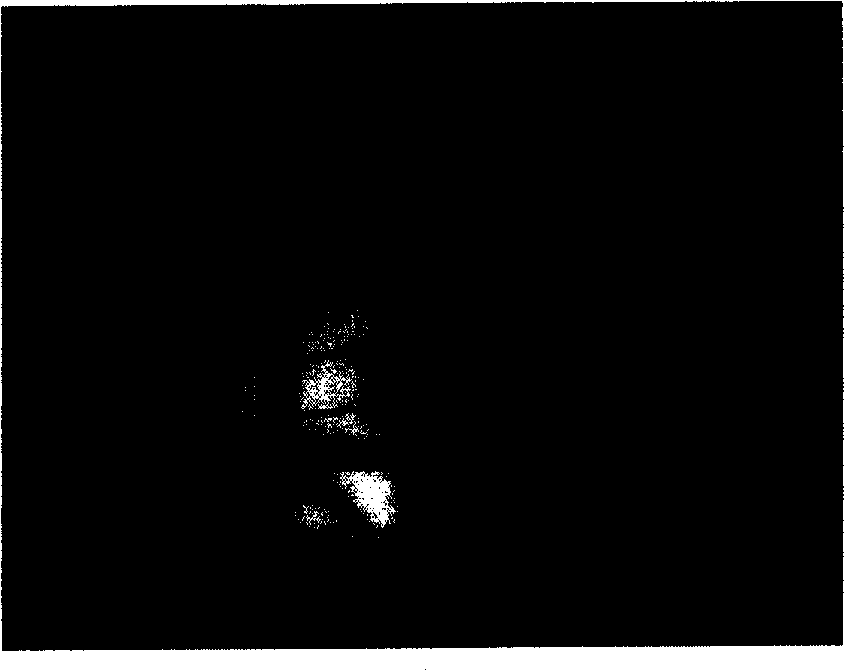 Method and system for implementing high dynamic light range