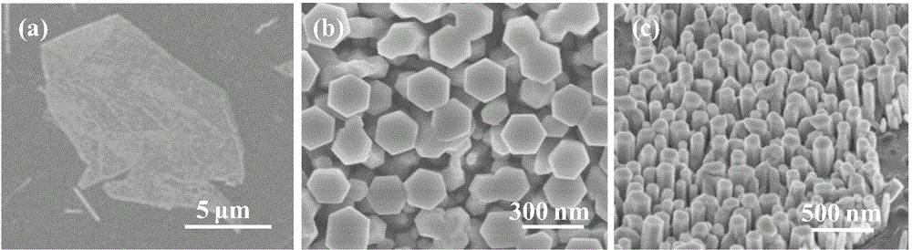 ZnO grading nanoarray on graphene substrate and preparation method and application thereof