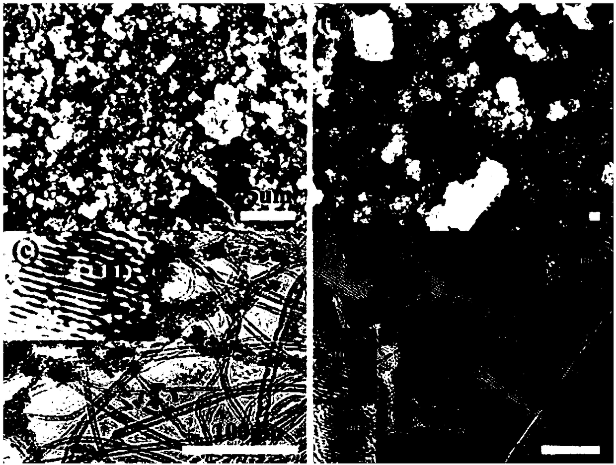 Molybdenum platinum porous composite material as well as preparation method and application thereof