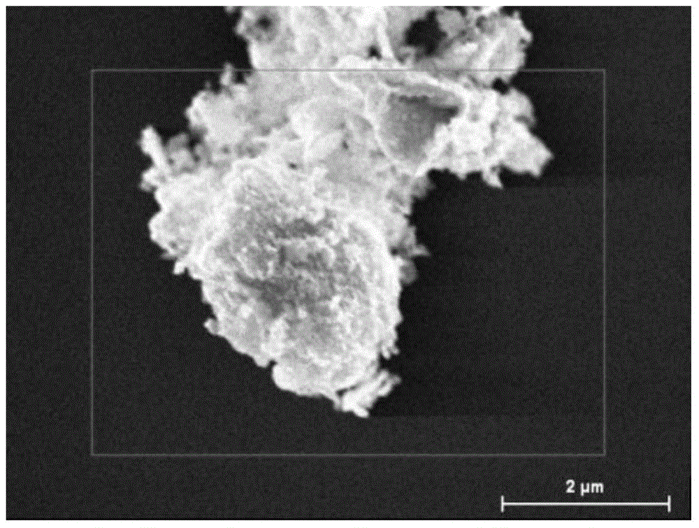 Ferric-carbon complex as well as preparation and application thereof