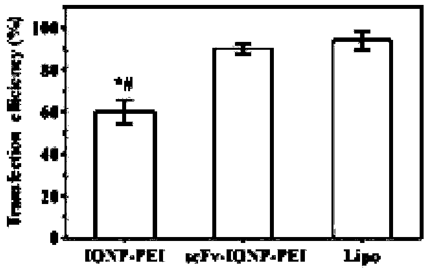 Drug-loaded nanoparticles for targeted immunotherapy of pancreatic cancer and its application