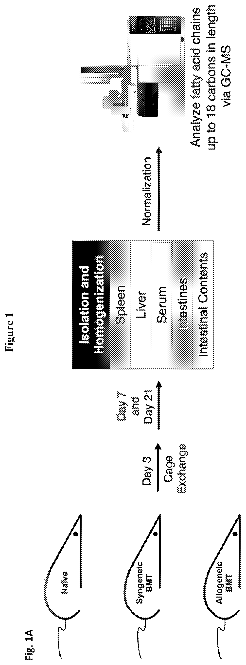 Compositions and methods for treating and preventing graft versus host disease