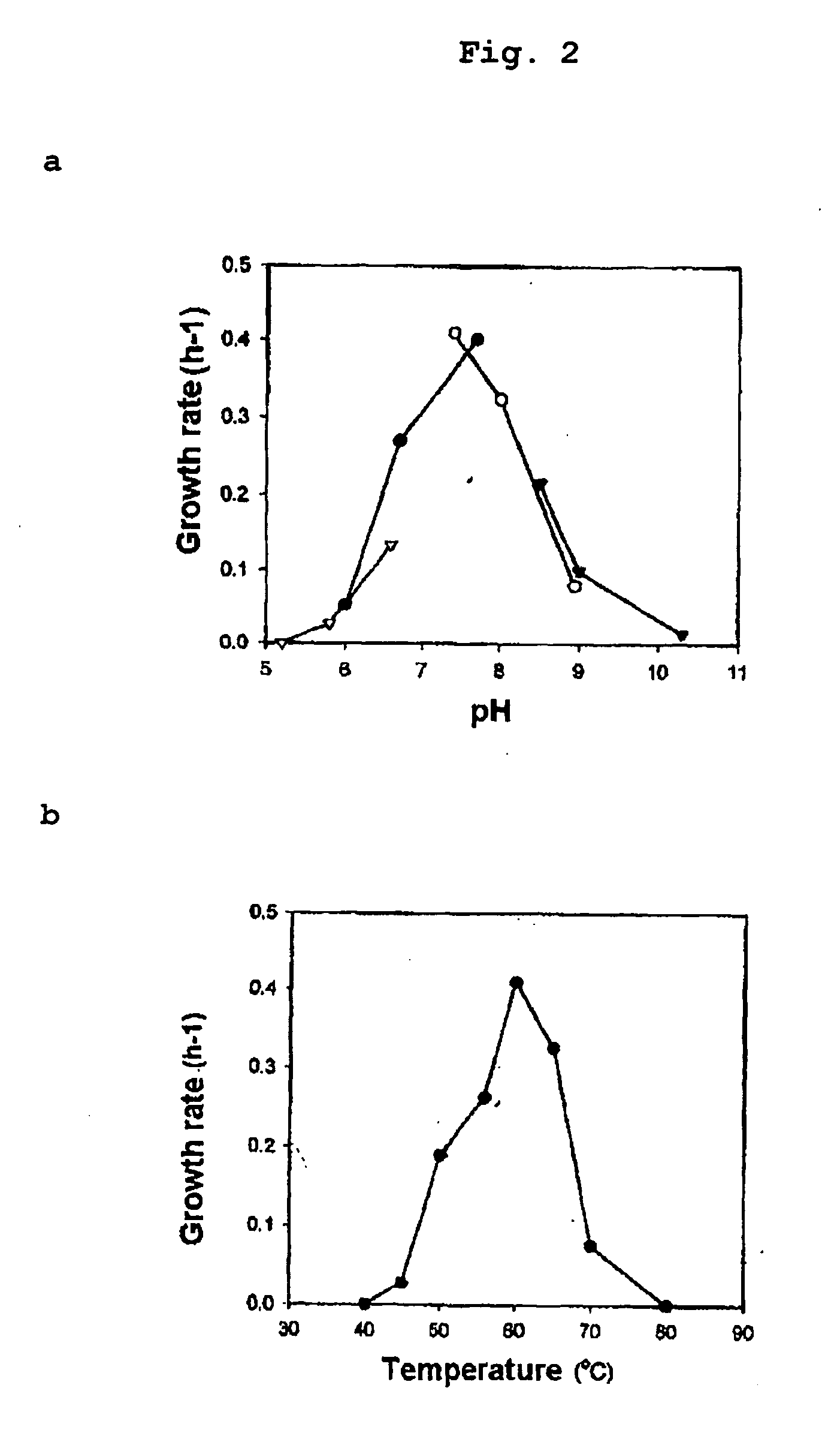 Obligately symbiotic thermophile Symbiobacterium toebii SC-1 producing thermostable L-tyrosine phenol-lyase and L-tryptophan indole-lyase