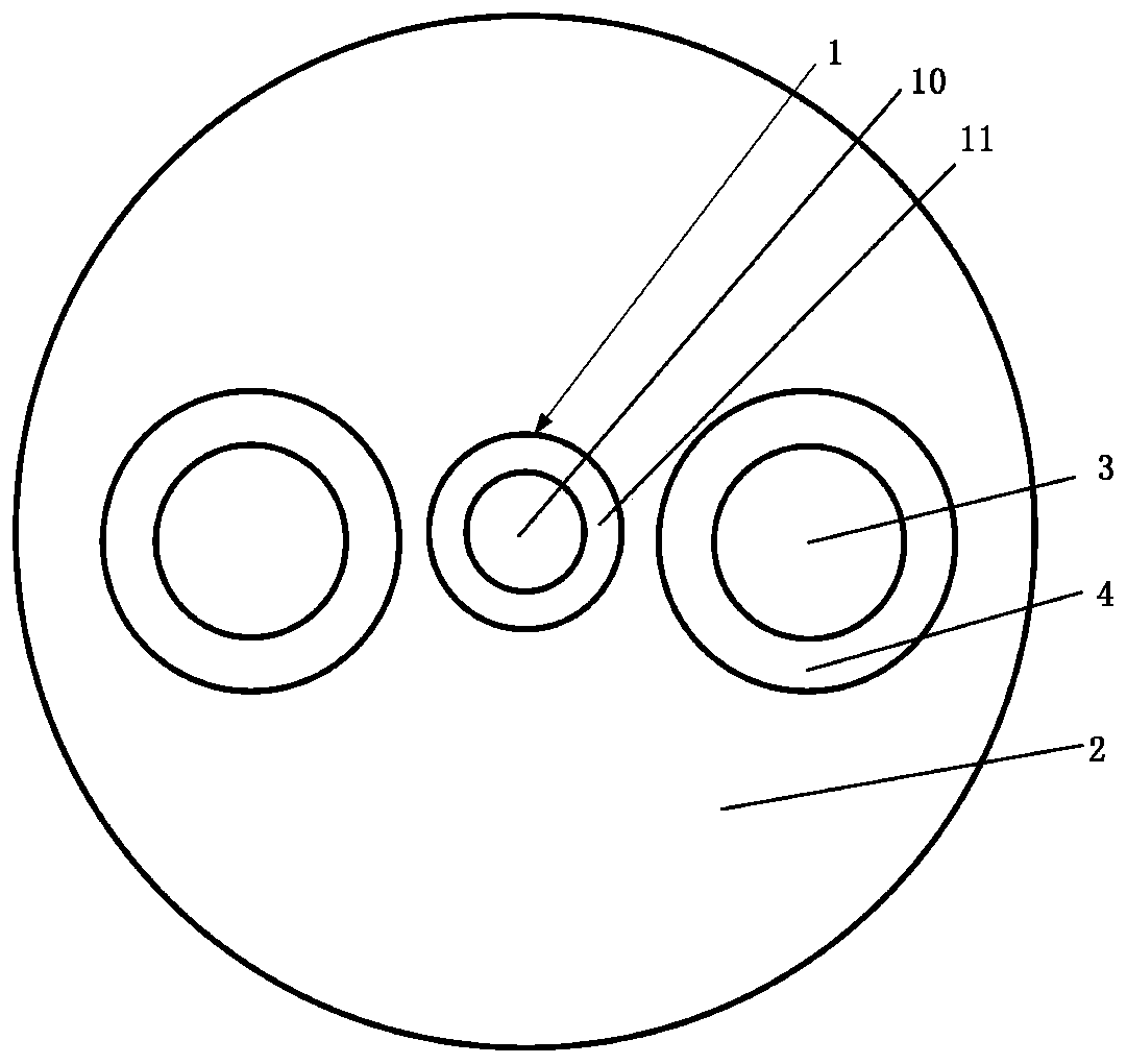 A Panda-type Polarization-Maintaining Optical Fiber