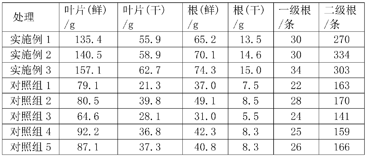 Special areca-nut seedling breeding fertilizer as well as preparation method and application thereof