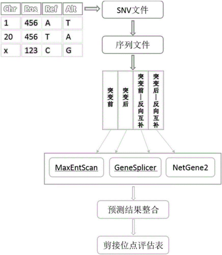 SNV detection system affecting RNA splicing