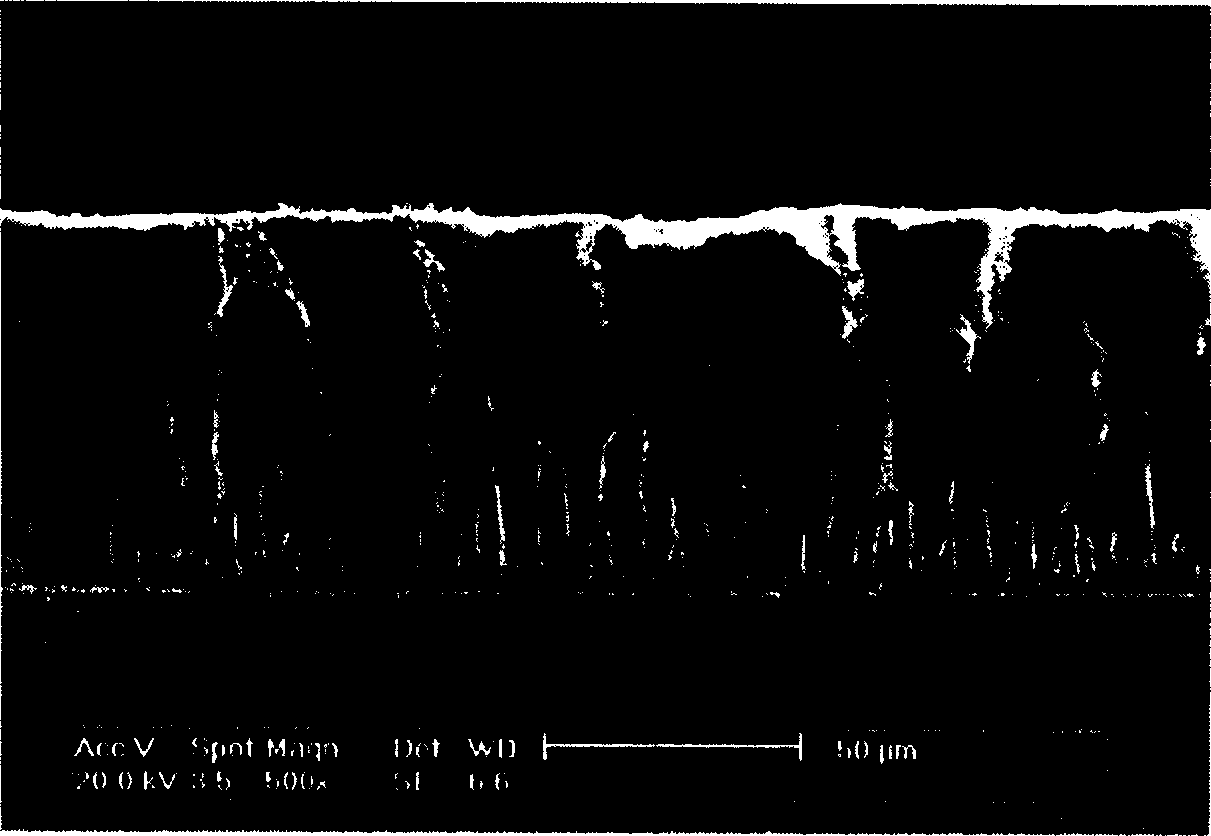 Preparation method of affinity polysulfone-chitosan compound asymmetrical ultrafiltration film