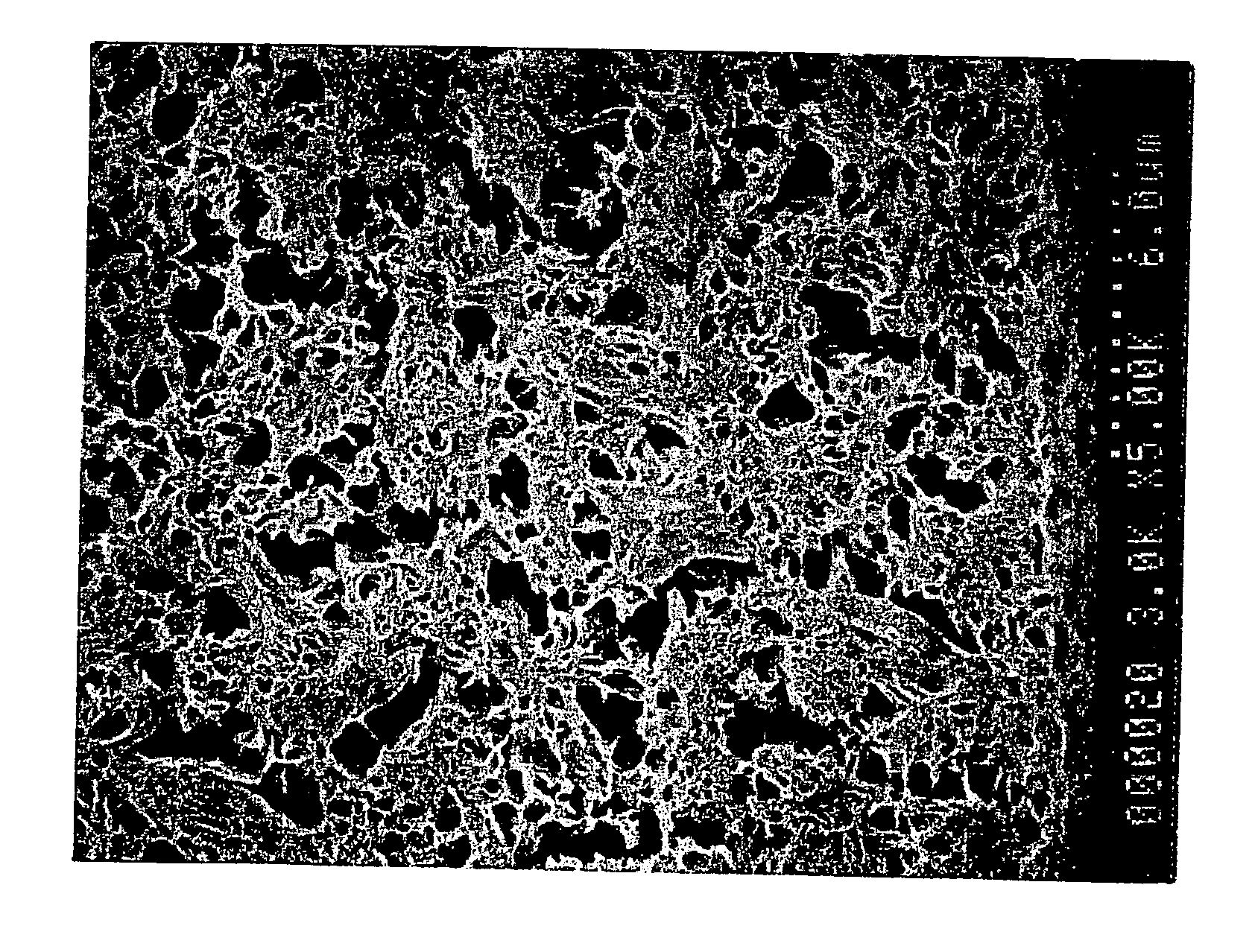 Porous Water Filtration Membrane of Vinylidene Fluoride Resin Hollow Fiber and Process for Production Thereof