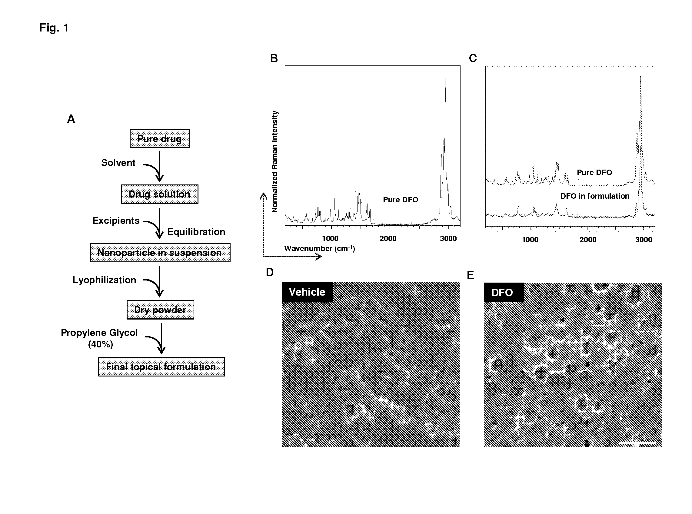 HIF-1 Modulator Paint Formulation and Uses Thereof