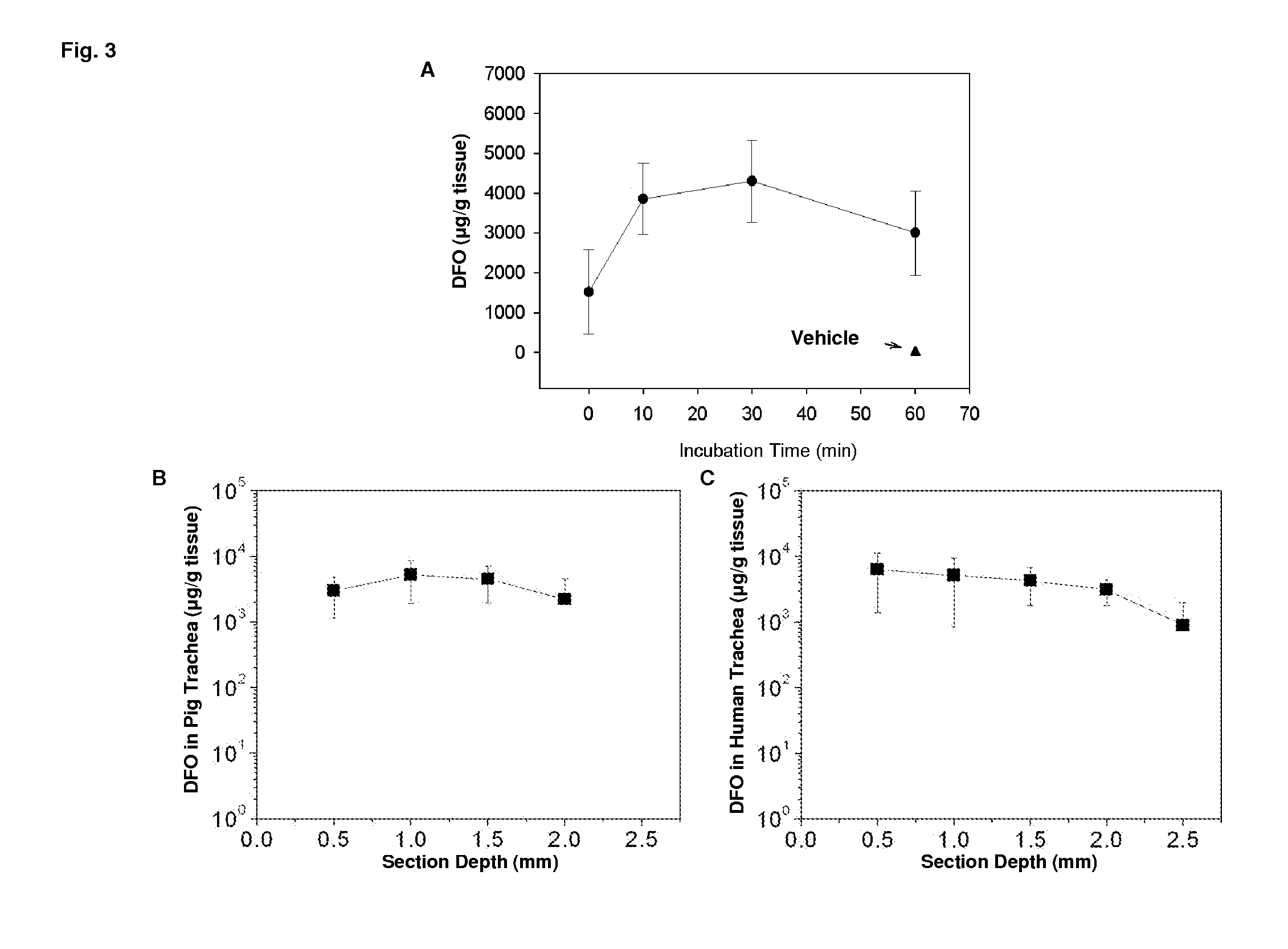 HIF-1 Modulator Paint Formulation and Uses Thereof