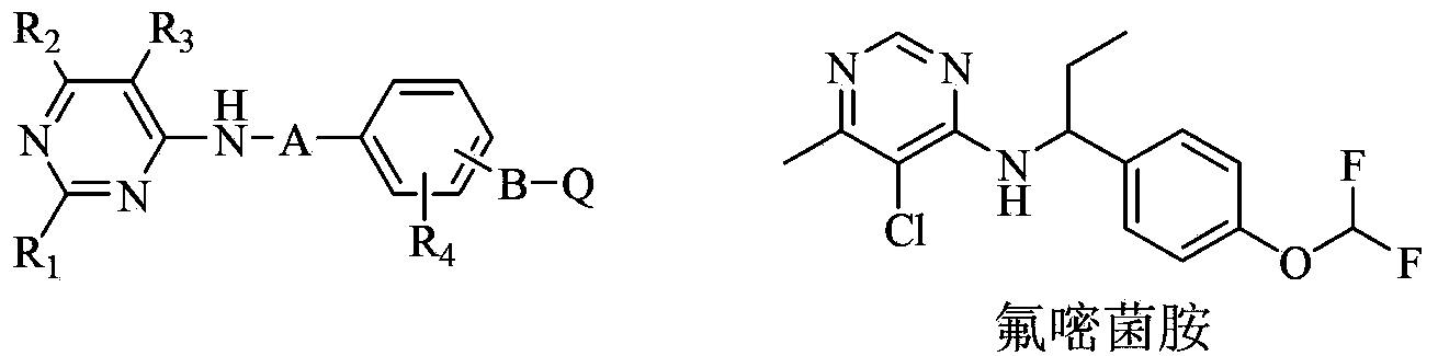 Substituted pyrimidinamine compound and use thereof