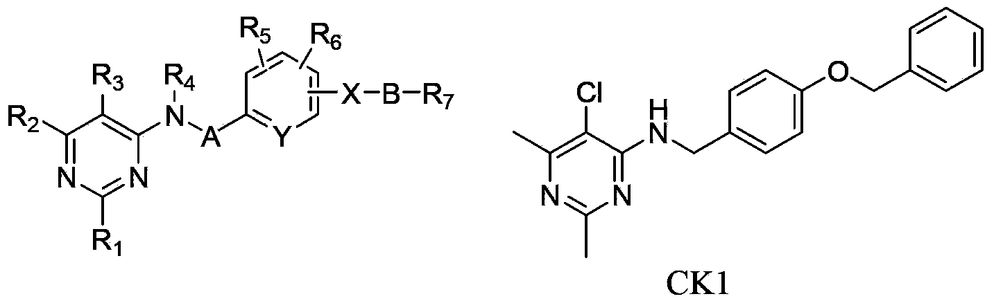 Substituted pyrimidinamine compound and use thereof