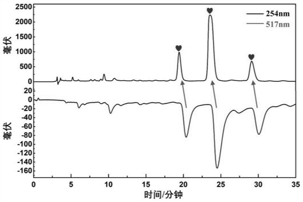 Novel diaryl nonane V, VI and VII free radical inhibitors in saxifraga tangutica as well as separation and preparation process and application thereof