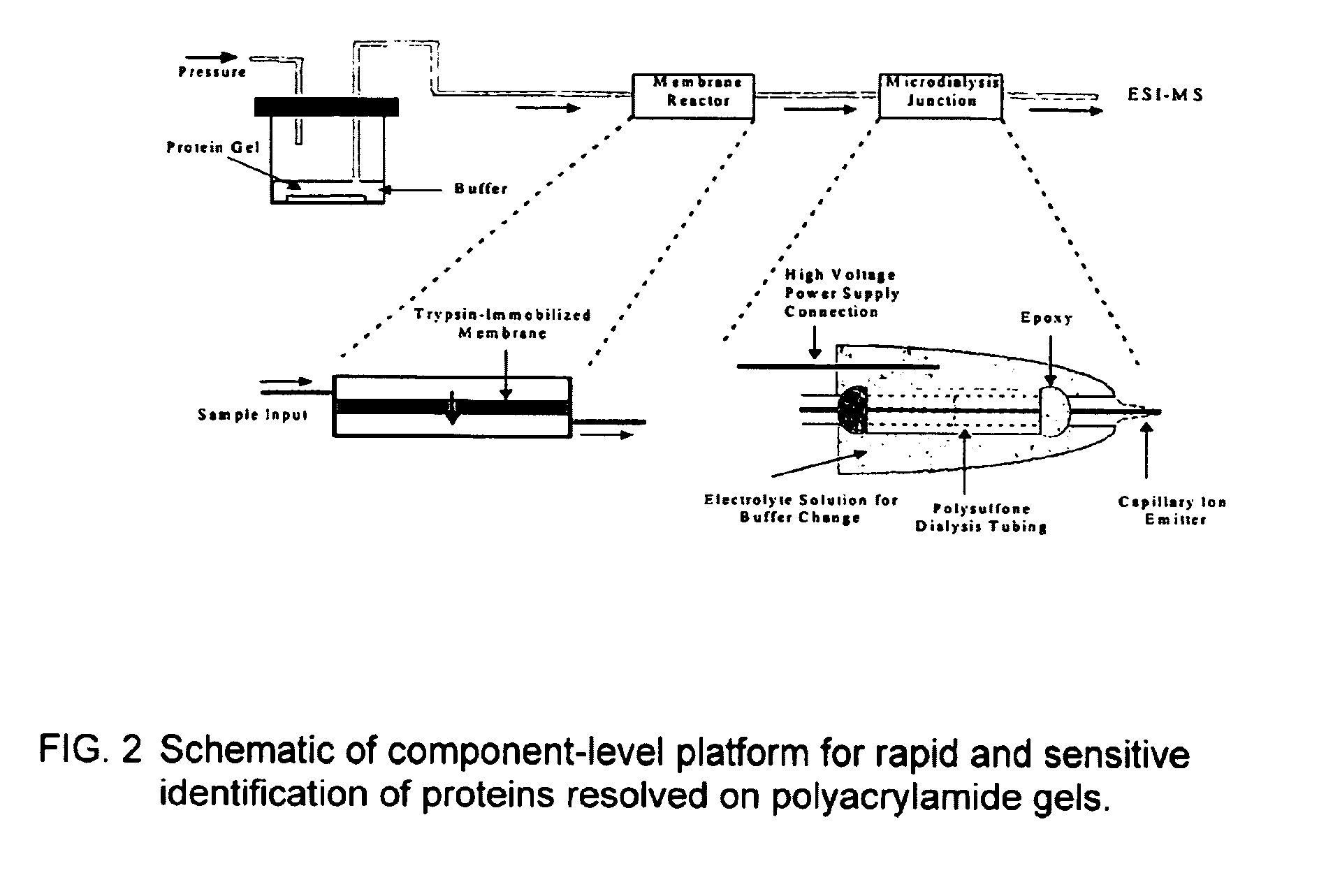 Microfluidic apparatus for performing gel protein extractions and methods for using the apparatus