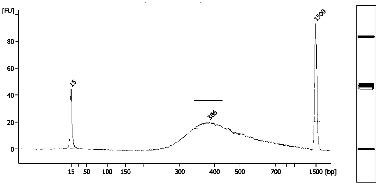 A method for obtaining high-density SNP marker loci in chicken whole genome