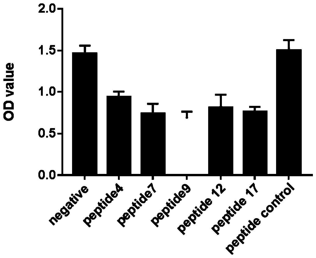 Tumor-related gene FBXW7 mutation-related antigen short-peptide and application thereof