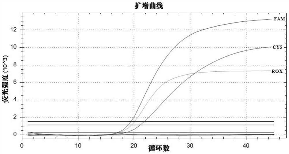 Kit for synchronously detecting African swine fever virus and porcine pseudorabies virus